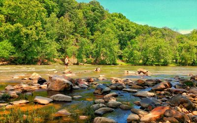 Scenic view of river by trees against sky