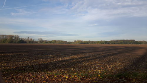 Scenic view of field against sky