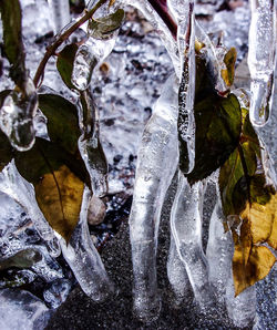 Close-up of frozen water