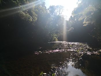 Scenic view of river against sky on sunny day