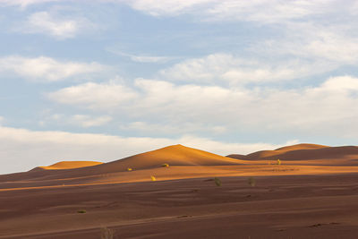 The formation of sand dunes in dasht e lut or sahara desert at sunrise and sand patterns 