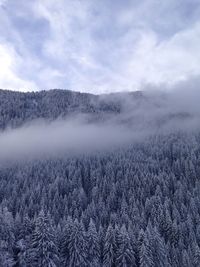 Scenic view of landscape against sky during winter