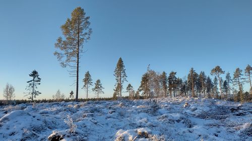 Scenic view of snow covered landscape against clear sky