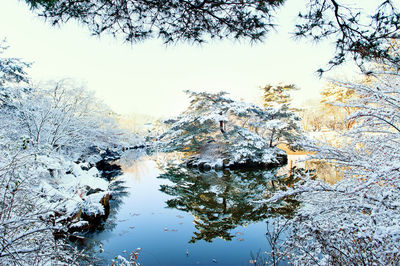 Scenic view of lake surrounded with frozen trees during winter