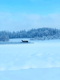 Scenic view of trees against sky during winter