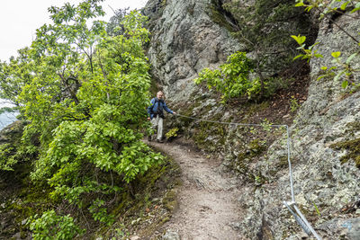 Rear view of man walking on mountain