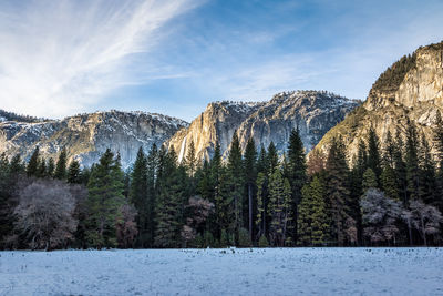 Panoramic view of trees and mountains against sky