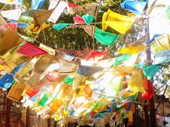 Low angle view of colorful balloons