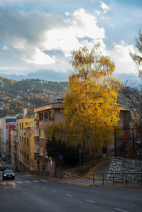 Street by trees against sky in city