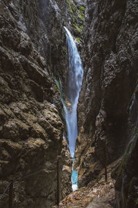 Low angle view of waterfall in forest