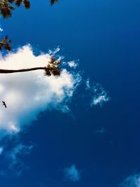 Low angle view of tree against sky