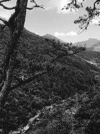 Scenic view of trees against cloudy sky