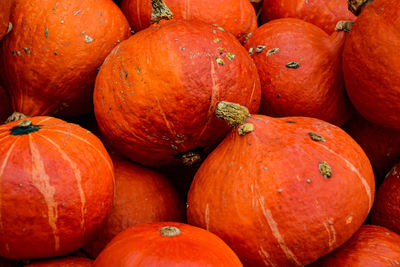 High angle view of pumpkins for sale at market stall