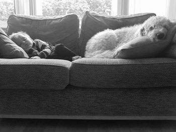 Close-up of sofa on bed at home