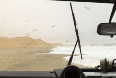 Seagulls flying over beach against sky