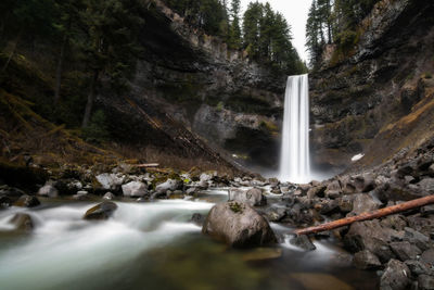 Scenic view of waterfall in forest