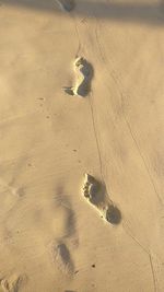 High angle view of footprints on sand at beach