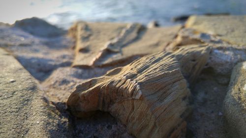 Close-up of rocks on shore