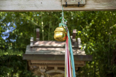 Low angle view of light bulb hanging on tree