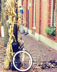 Bicycle parked on sidewalk in city during autumn