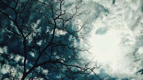 Low angle view of bare tree against sky