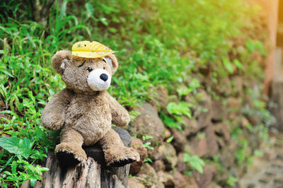 Close-up of stuffed toy on tree stump