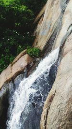 Scenic view of waterfall in forest