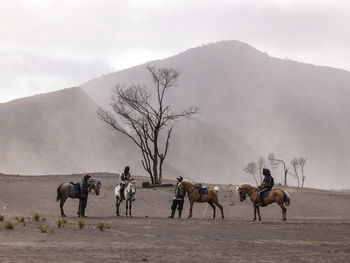 People riding horses on landscape against mountains