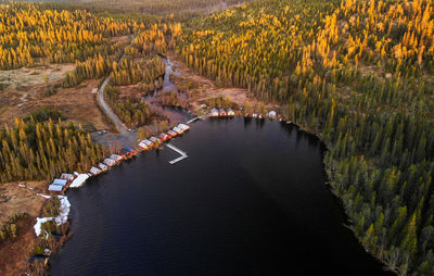 Aerial view of wooden houses by lake in forest