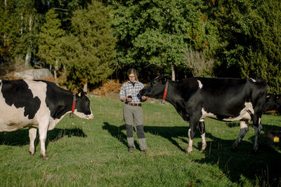Female farmer using smart phone standing by cow on field