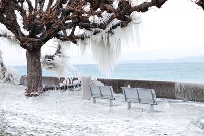 Scenic view of promenade in winter