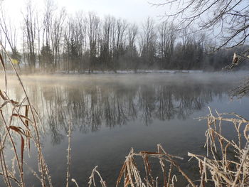 Scenic view of lake by bare trees against sky