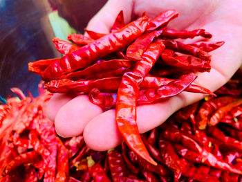 Close-up of red chili peppers in market