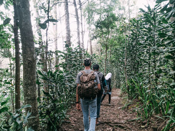 Rear view of man walking in forest