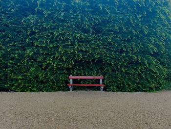 Empty bench in park