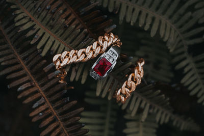 High angle view of text hanging on ceiling