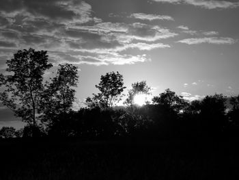 Silhouette trees on field against sky at sunset