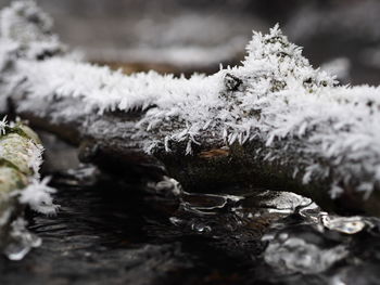 Close-up of water in snow