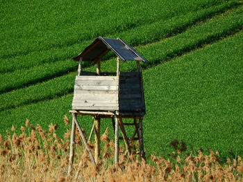 View of agricultural field