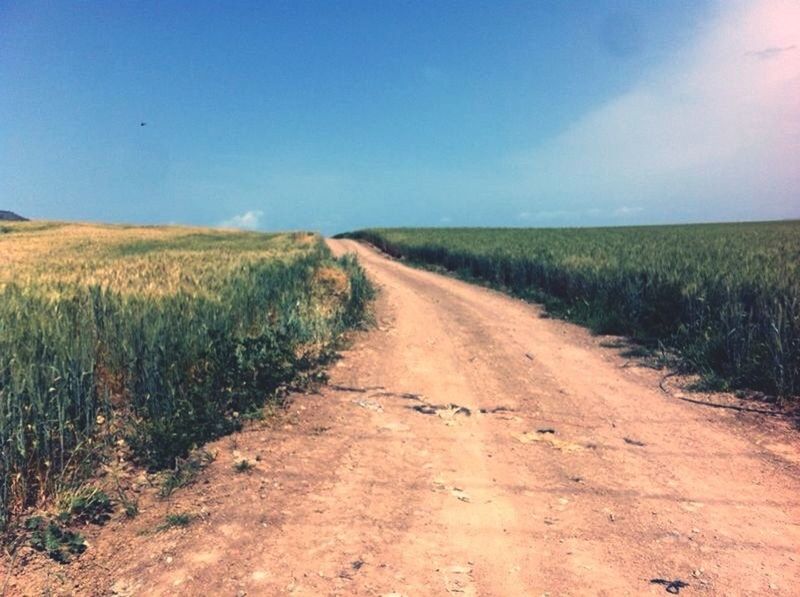 the way forward, landscape, diminishing perspective, vanishing point, field, dirt road, tranquil scene, rural scene, tranquility, sky, grass, agriculture, road, country road, nature, transportation, scenics, growth, horizon over land, beauty in nature