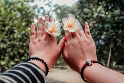 Close-up of hands holding flower