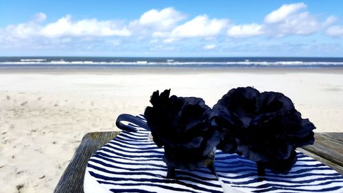 Close-up of person on beach against sky