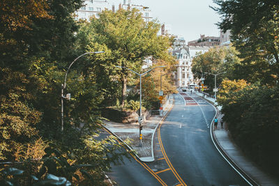 Road amidst trees and plants in city