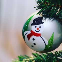 Close-up of christmas tree