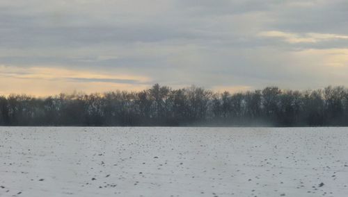 Trees on snow covered landscape against clouds