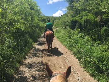 Rear view of man riding horse on dirt road