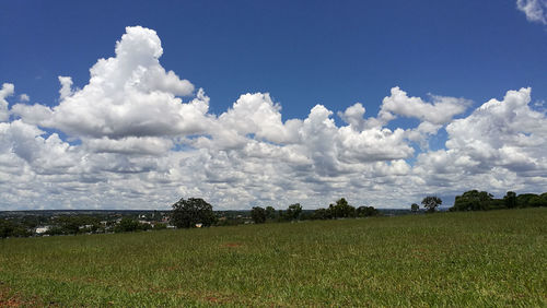 Scenic view of field against sky