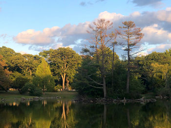 Trees by lake against sky during autumn