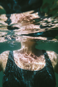 Close-up of turtle in swimming pool