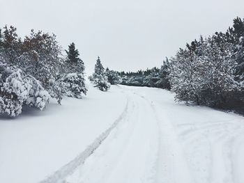 Snow covered road amidst trees against sky